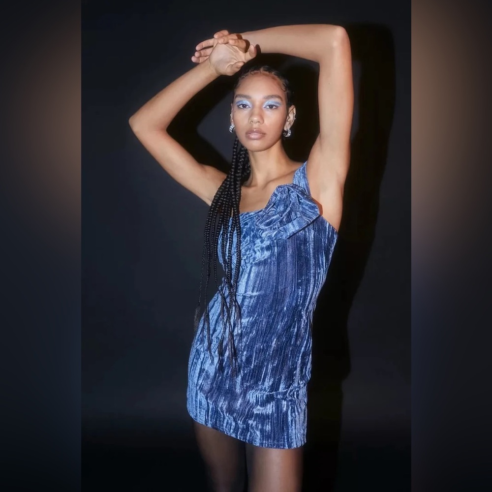 NWOT Urban Outfitters Dahlia Rosette Velvet Mini Dress
